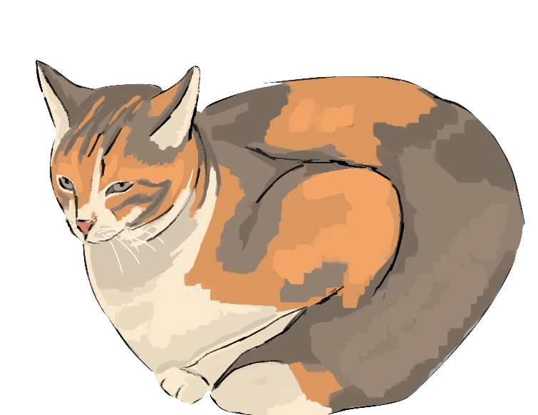 Illustration of a cat in Instanbul