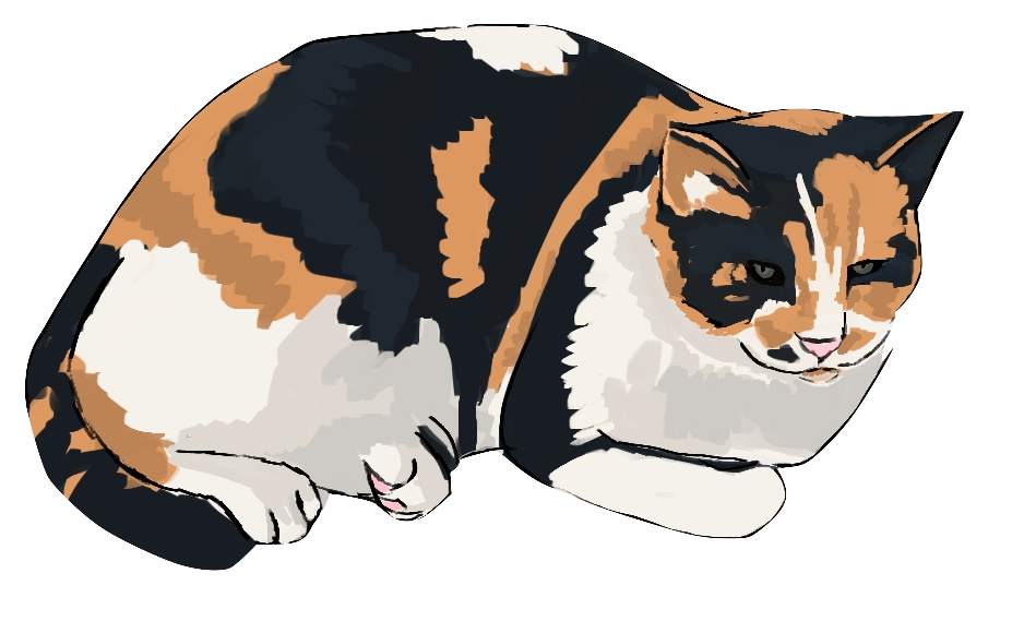 Illustration of a cat in Instanbul