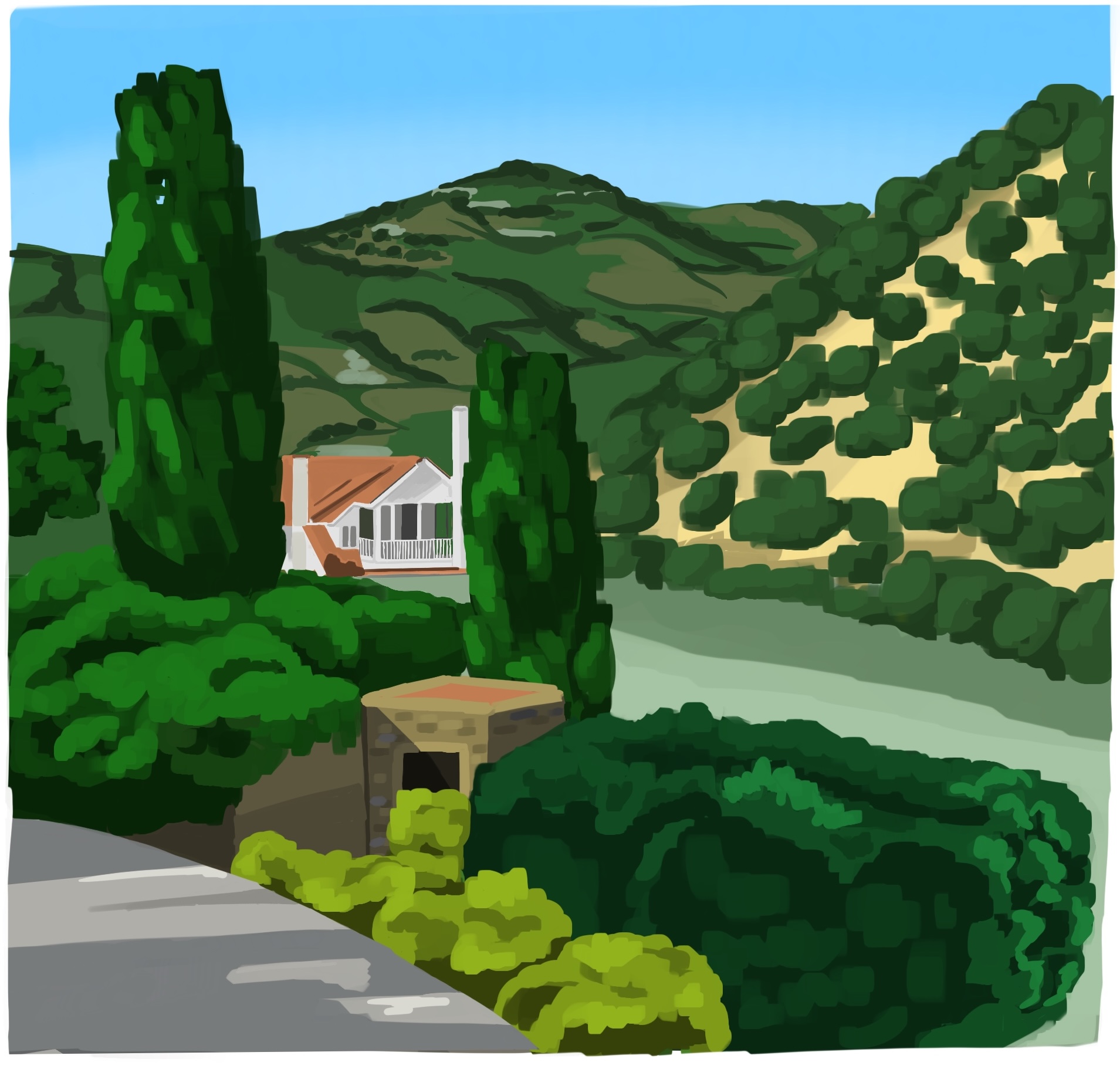 Illustration of Douro Valley, Porto