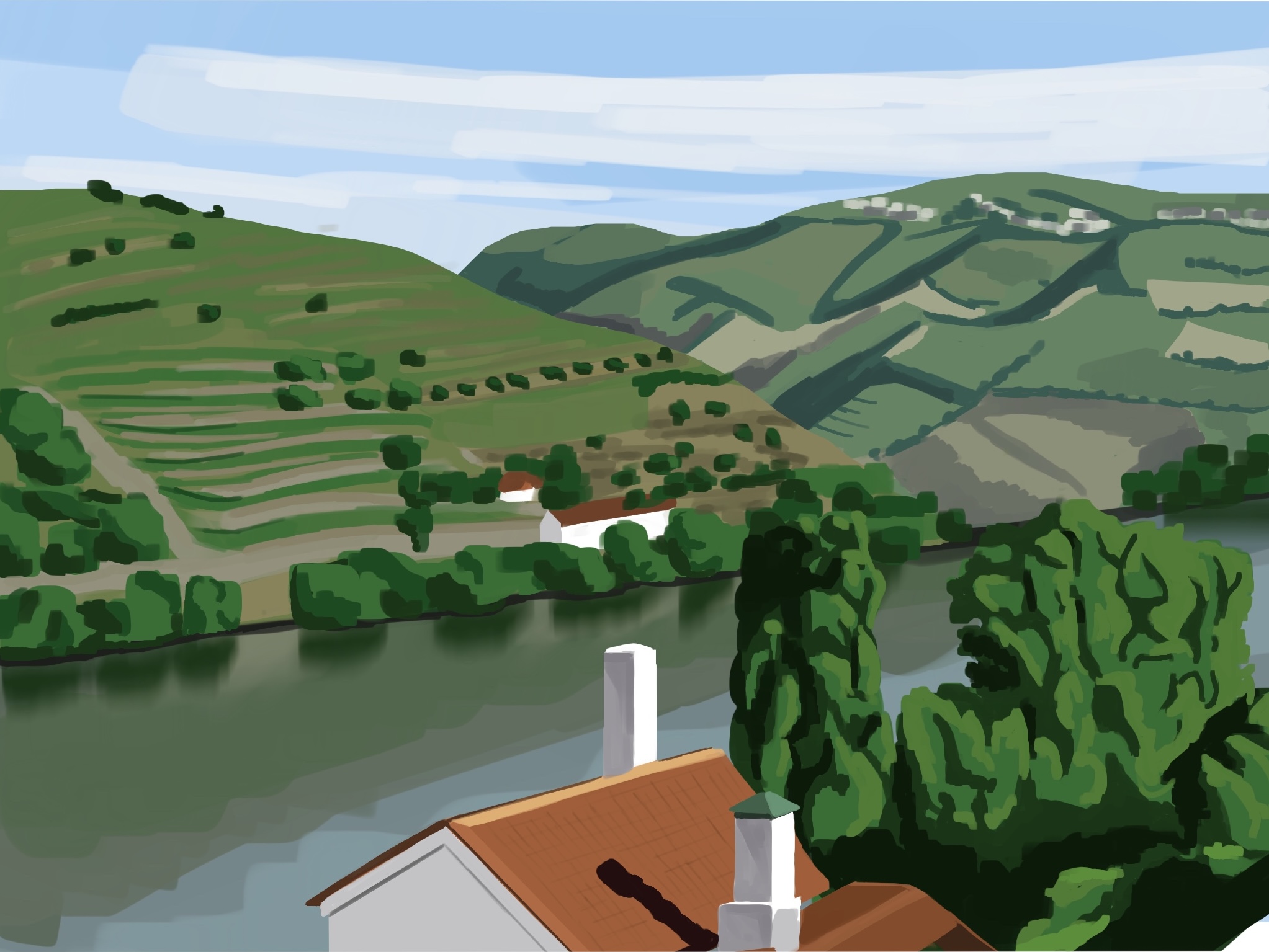 Illustration of Douro Valley, Portugal